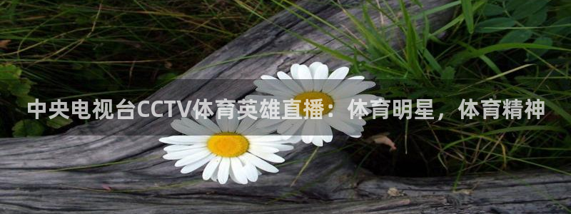 中央电视台CCTV体育英雄直播：体育明星，体育精神