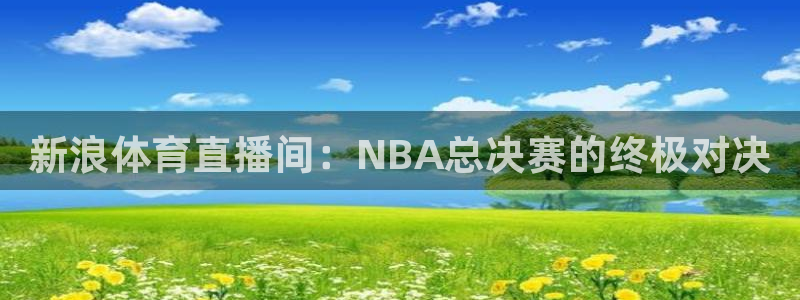 新浪体育直播间：NBA总决赛的终极对决